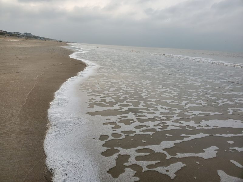 beach of Zandvoort on the North Sea