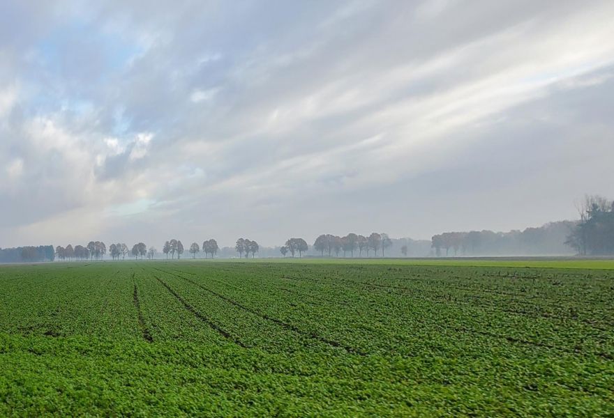 Scenery near Bergeijk