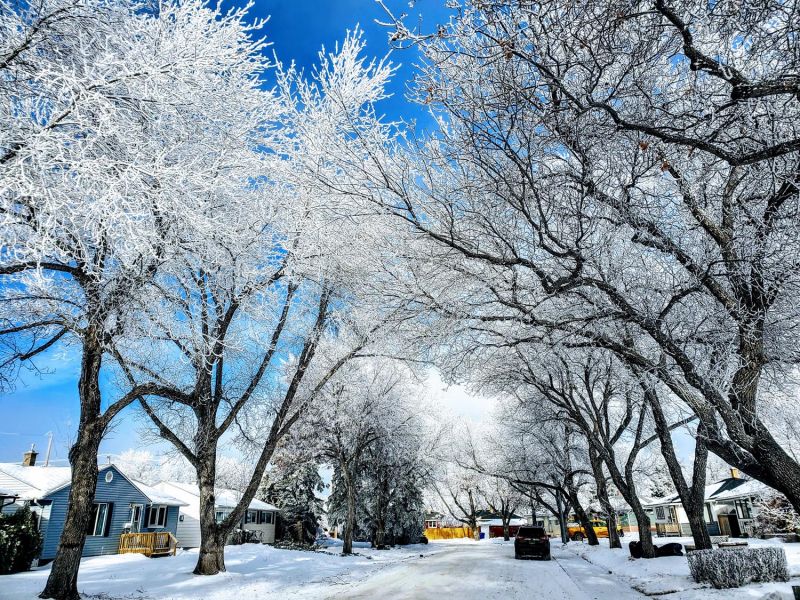 hoarfrost in Regina