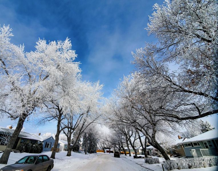 hoarfrost in Regina