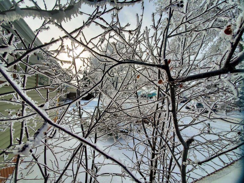 hoarfrost in Regina
