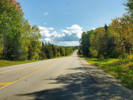 driving through Riding Mountain