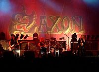 Saxon © Silkie Gerold